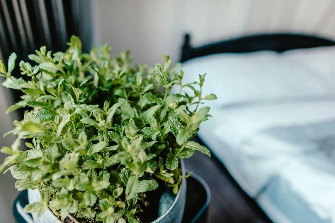 Wake Up Wellness Hostel Brno 0*,